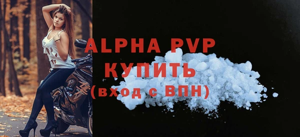 шишки Беломорск