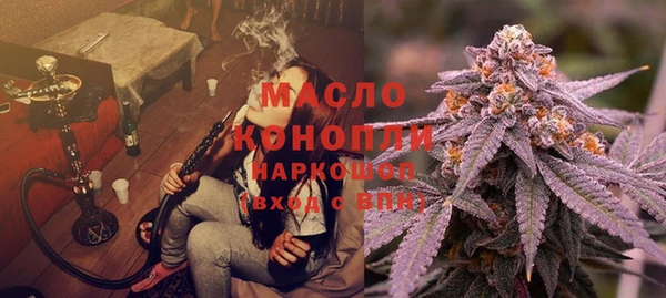 шишки Беломорск