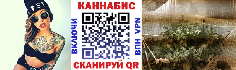 закладки  Шуя  Канабис гибрид 